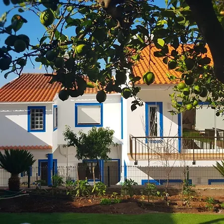 20 Da - With Mezzanine With Panoramic Terrace *